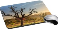 meSleep Nature PD-32-290 Mousepad(Multicolor)   Laptop Accessories  (meSleep)