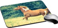 meSleep Wild Life PD-48-262 Mousepad(Multicolor)   Laptop Accessories  (meSleep)