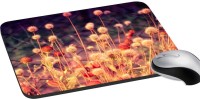 meSleep Nature PD-41-250 Mousepad(Multicolor)   Laptop Accessories  (meSleep)