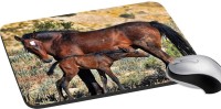 meSleep Wild Life PD-48-371 Mousepad(Multicolor)   Laptop Accessories  (meSleep)