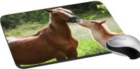 meSleep Wild Life PD-48-235 Mousepad(Multicolor)   Laptop Accessories  (meSleep)