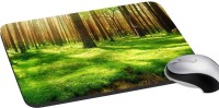 meSleep Nature PD-39-034 Mousepad(Multicolor)   Laptop Accessories  (meSleep)