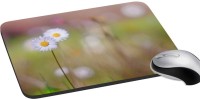 meSleep Nature PD-32-368 Mousepad(Multicolor)   Laptop Accessories  (meSleep)