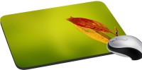 meSleep Nature PD-41-251 Mousepad(Multicolor)   Laptop Accessories  (meSleep)