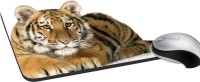 meSleep Wild Life PD-49-387 Mousepad(Multicolor)   Laptop Accessories  (meSleep)