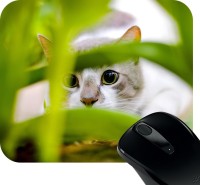 Huppme White Cat Mousepad(Black)   Laptop Accessories  (Huppme)