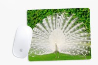 View Sowing Happiness SHMUSPD036 Mousepad(Multicolor) Laptop Accessories Price Online(Sowing Happiness)