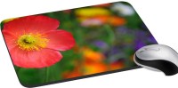 meSleep Nature PD-32-397 Mousepad(Multicolor)   Laptop Accessories  (meSleep)