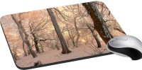 meSleep Nature PD-42-288 Mousepad(Multicolor)   Laptop Accessories  (meSleep)