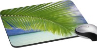 meSleep Palm Tree Leaf PD-21-183 Mousepad(Multicolor)   Laptop Accessories  (meSleep)
