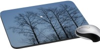 meSleep Nature PD-38-283 Mousepad(Multicolor)   Laptop Accessories  (meSleep)