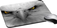 meSleep Eagle Mousepad(Multicolor)   Laptop Accessories  (meSleep)
