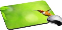 meSleep Nature PD-46-287 Mousepad(Multicolor)   Laptop Accessories  (meSleep)