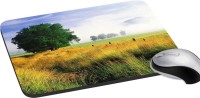 meSleep Nature PD-43-307 Mousepad(Multicolor)   Laptop Accessories  (meSleep)