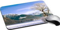 meSleep Nature PD-49-317 Mousepad(Multicolor)   Laptop Accessories  (meSleep)