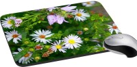meSleep Nature PD-49-307 Mousepad(Multicolor)   Laptop Accessories  (meSleep)