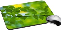 meSleep Nature PD-46-366 Mousepad(Multicolor)   Laptop Accessories  (meSleep)