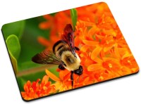 Shoprider MULTICOLOR-963 Mousepad(Multicolor)   Laptop Accessories  (Shoprider)