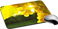 meSleep Nature PD-41-291 Mousepad(Multicolor)   Laptop Accessories  (meSleep)