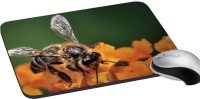 meSleep Nature PD-33-339 Mousepad(Multicolor)   Laptop Accessories  (meSleep)