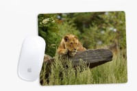 View Sowing Happiness SHMUSPD026 Mousepad(Multicolor) Laptop Accessories Price Online(Sowing Happiness)