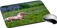 meSleep Wild Life PD-48-251 Mousepad(Multicolor)   Laptop Accessories  (meSleep)