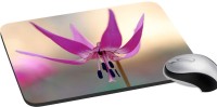 meSleep Nature PD-32-399 Mousepad(Multicolor)   Laptop Accessories  (meSleep)