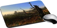 meSleep Nature PD-36-209 Mousepad(Multicolor)   Laptop Accessories  (meSleep)