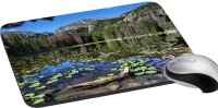 meSleep Nature PD-36-013 Mousepad(Multicolor)   Laptop Accessories  (meSleep)