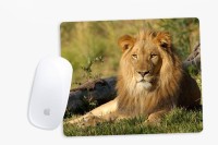 View Sowing Happiness SHMUSPD062 Mousepad(Multicolor) Laptop Accessories Price Online(Sowing Happiness)