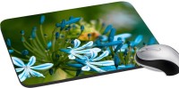 meSleep Floral PD-34-377 Mousepad(Multicolor)   Laptop Accessories  (meSleep)