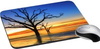 meSleep Nature PD-38-296 Mousepad(Multicolor)   Laptop Accessories  (meSleep)