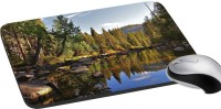 meSleep Nature PD-46-007 Mousepad(Multicolor)   Laptop Accessories  (meSleep)