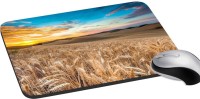 meSleep Nature PD-32-049 Mousepad(Multicolor)   Laptop Accessories  (meSleep)