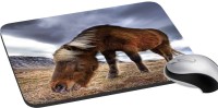 meSleep Wild Life PD-48-118 Mousepad(Multicolor)   Laptop Accessories  (meSleep)