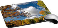 meSleep Nature PD-32-168 Mousepad(Multicolor)   Laptop Accessories  (meSleep)