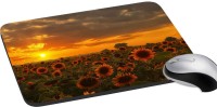 meSleep Nature PD-49-219 Mousepad(Multicolor)   Laptop Accessories  (meSleep)