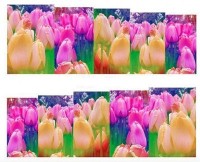 Azzuro Manicure Water Transfer Nail Art Decals Stickers(Multicolor Flower) - Price 89 55 % Off  