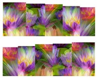 SENECIO� Multicolor Tulip 3D Floral Full Wraps Nail Art Manicure Decals Water Transfer Stickers 1 Sheet(Multicolor) - Price 99 72 % Off  