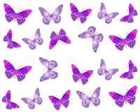 SENECIO� Fantastic Purple Butterfly French Nail Art Manicure Decals Water Transfer Stickers 1Sheet(Purple) - Price 119 70 % Off  