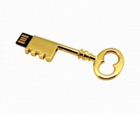 Quace Antique Key 16 GB Pen Drive(Gold)   Laptop Accessories  (Quace)
