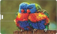 Printland Love Birds PC88570 8 GB Pen Drive(Multicolor)   Laptop Accessories  (Printland)