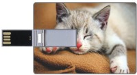 Printland 8GB Cute Cat PC89154 8 GB Pen Drive(Multicolor)   Laptop Accessories  (Printland)