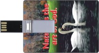 Printland Credit Card Shaped PC82556 8 GB Pen Drive(Multicolor)   Laptop Accessories  (Printland)