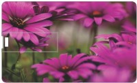 Printland Season Flowers PC163406 16 GB Pen Drive(Multicolor)   Laptop Accessories  (Printland)