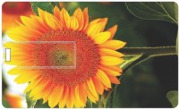 Printland Sun Flowers PC84818 8 GB Pen Drive(Multicolor)   Laptop Accessories  (Printland)