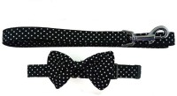Ginipet Dog Collar & Leash(Large, Black)