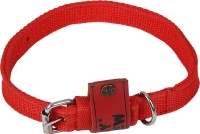 TommyChew Regular Dog Everyday Collar(Small, Red)