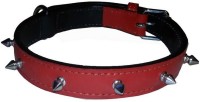 Pet Club51 Pet Club51 Dog Everyday Collar(Medium, Red)