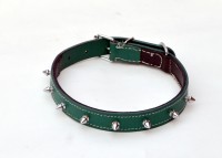 Pethub SINGLE SPIKE GREEN LARGE Dog Show Collar(Large, Green)